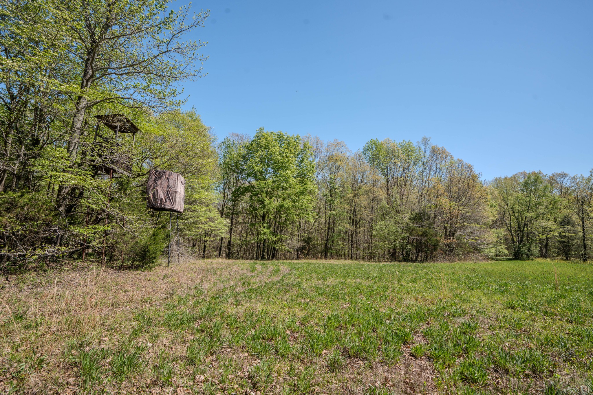 2167 Powdermill Hill Road Lawrenceburg TN 38464