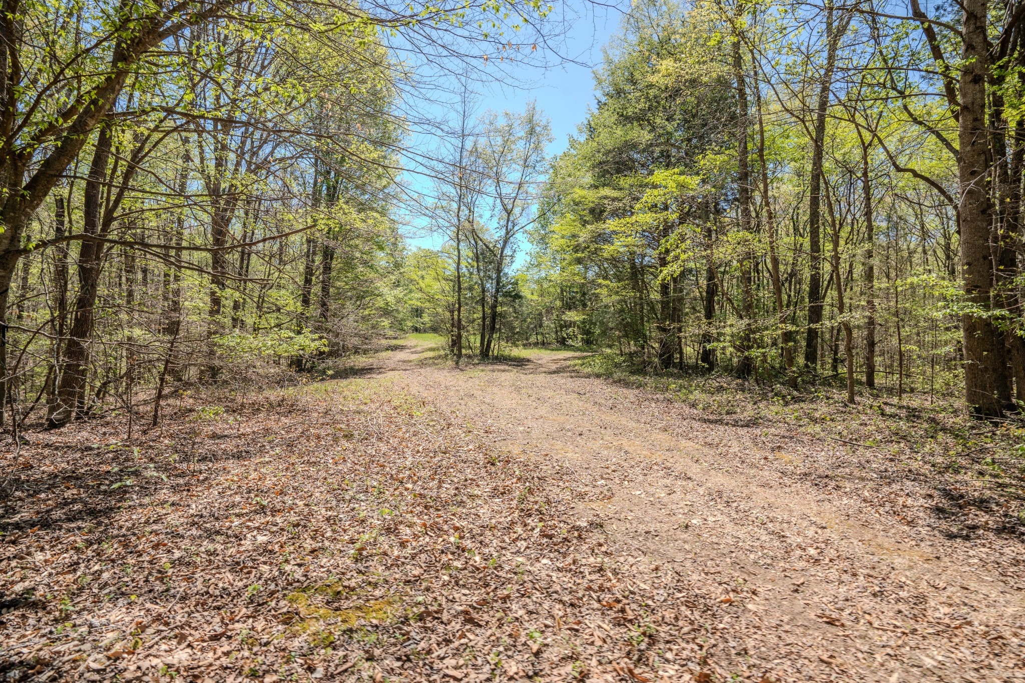 2167 Powdermill Hill Road Lawrenceburg TN 38464