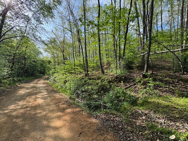 455 Moss Spring Hollow Road Centerville TN 37033