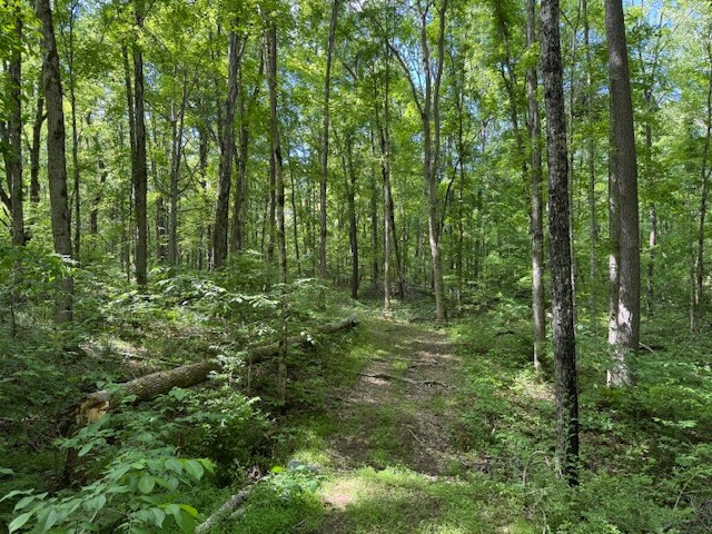 455 Moss Spring Hollow Road Centerville TN 37033