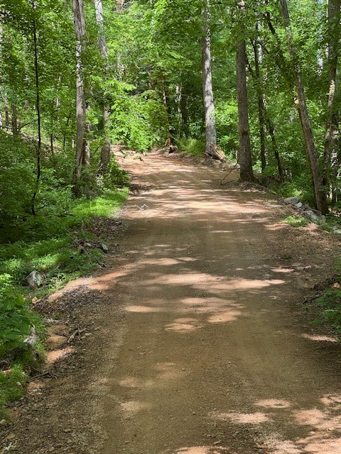 455 Moss Spring Hollow Road Centerville TN 37033