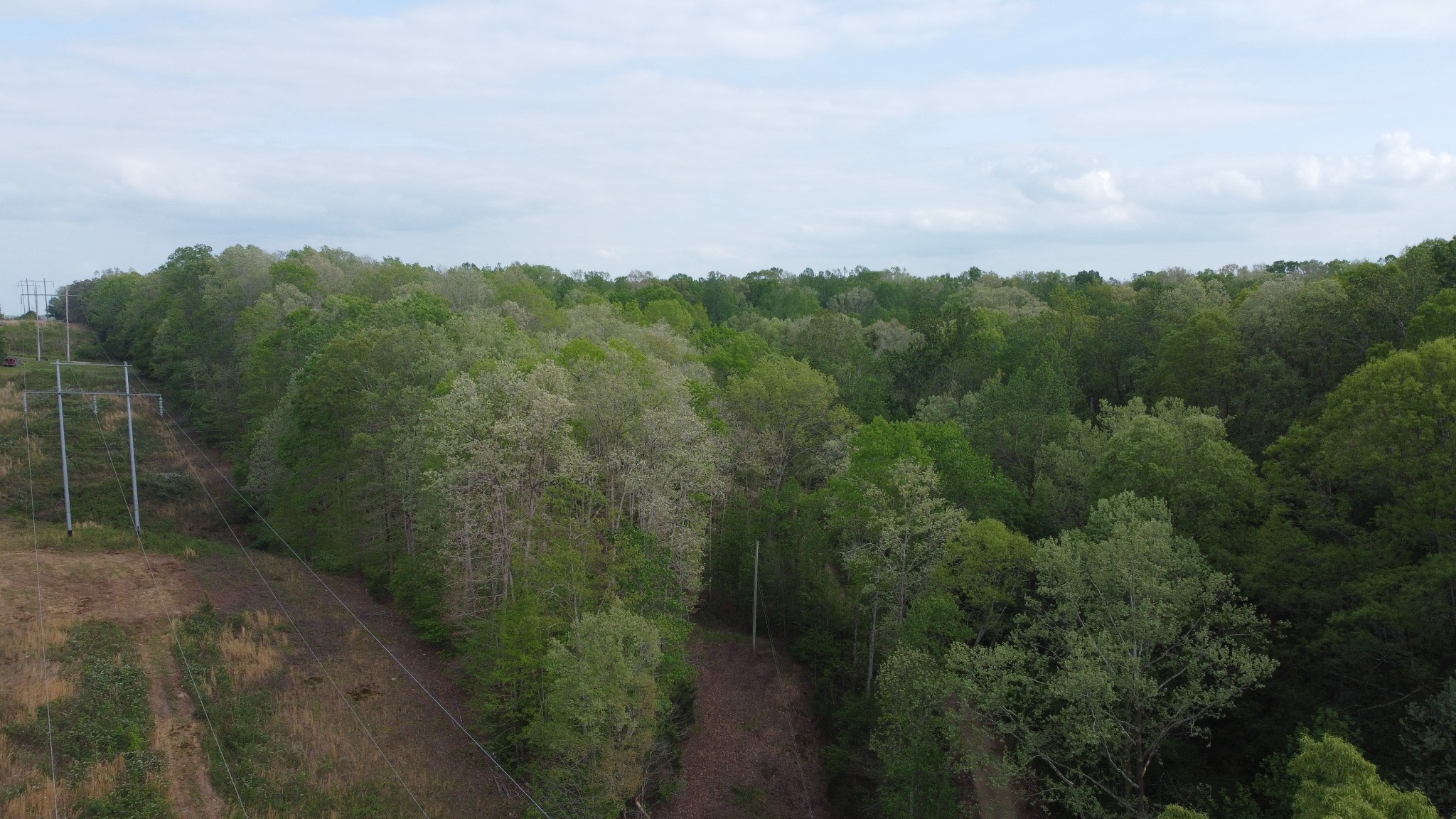 455 Moss Spring Hollow Road Centerville TN 37033