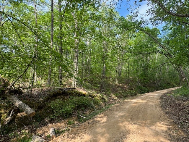 455 Moss Spring Hollow Road Centerville TN 37033