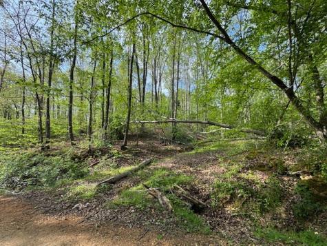 455 Moss Spring Hollow Road Centerville TN 37033