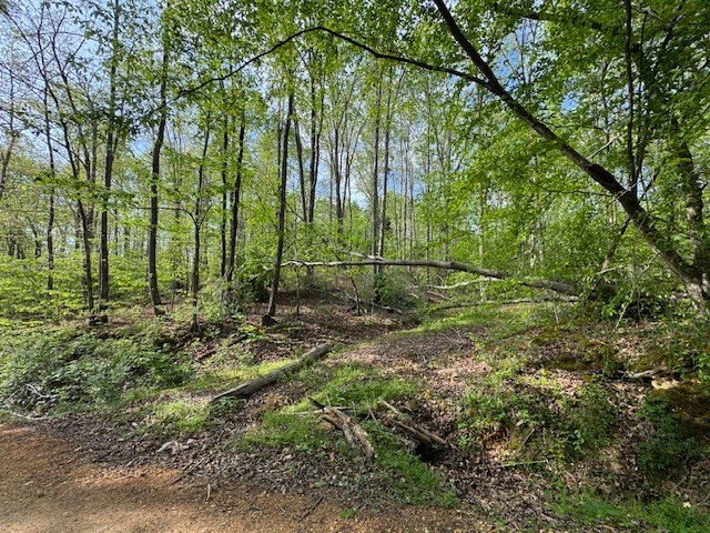 455 Moss Spring Hollow Road Centerville TN 37033