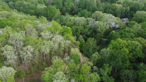 455 Moss Spring Hollow Road Centerville TN 37033