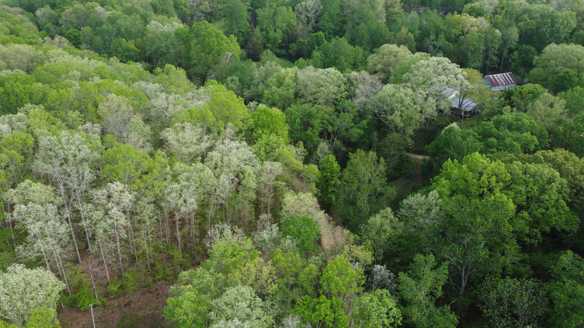 455 Moss Spring Hollow Road Centerville TN 37033
