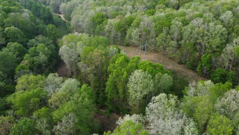 455 Moss Spring Hollow Road Centerville TN 37033