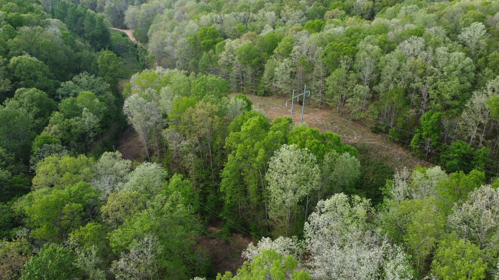 455 Moss Spring Hollow Road Centerville TN 37033