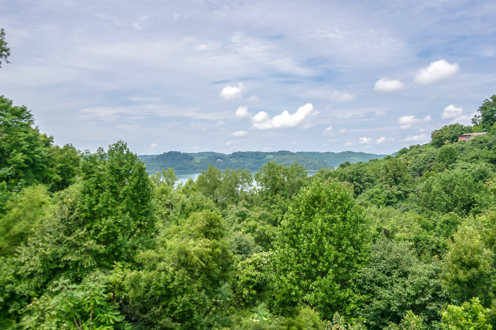 320 Floating Mill Road Silver Point TN 38582
