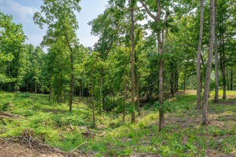 4790 Old Highway 13 Cumberland City TN 37050