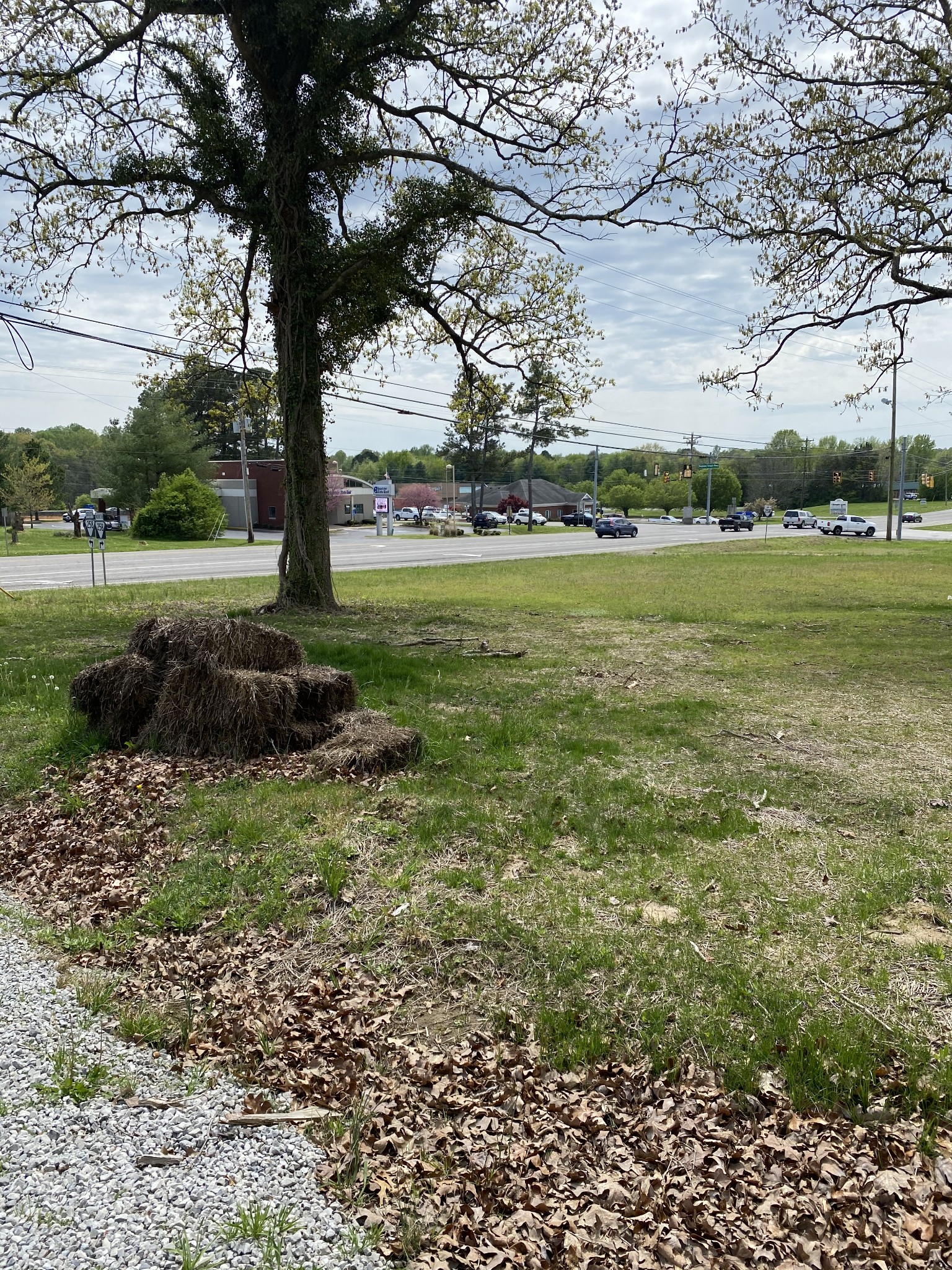 2929 Highway 31, W White House TN 37188