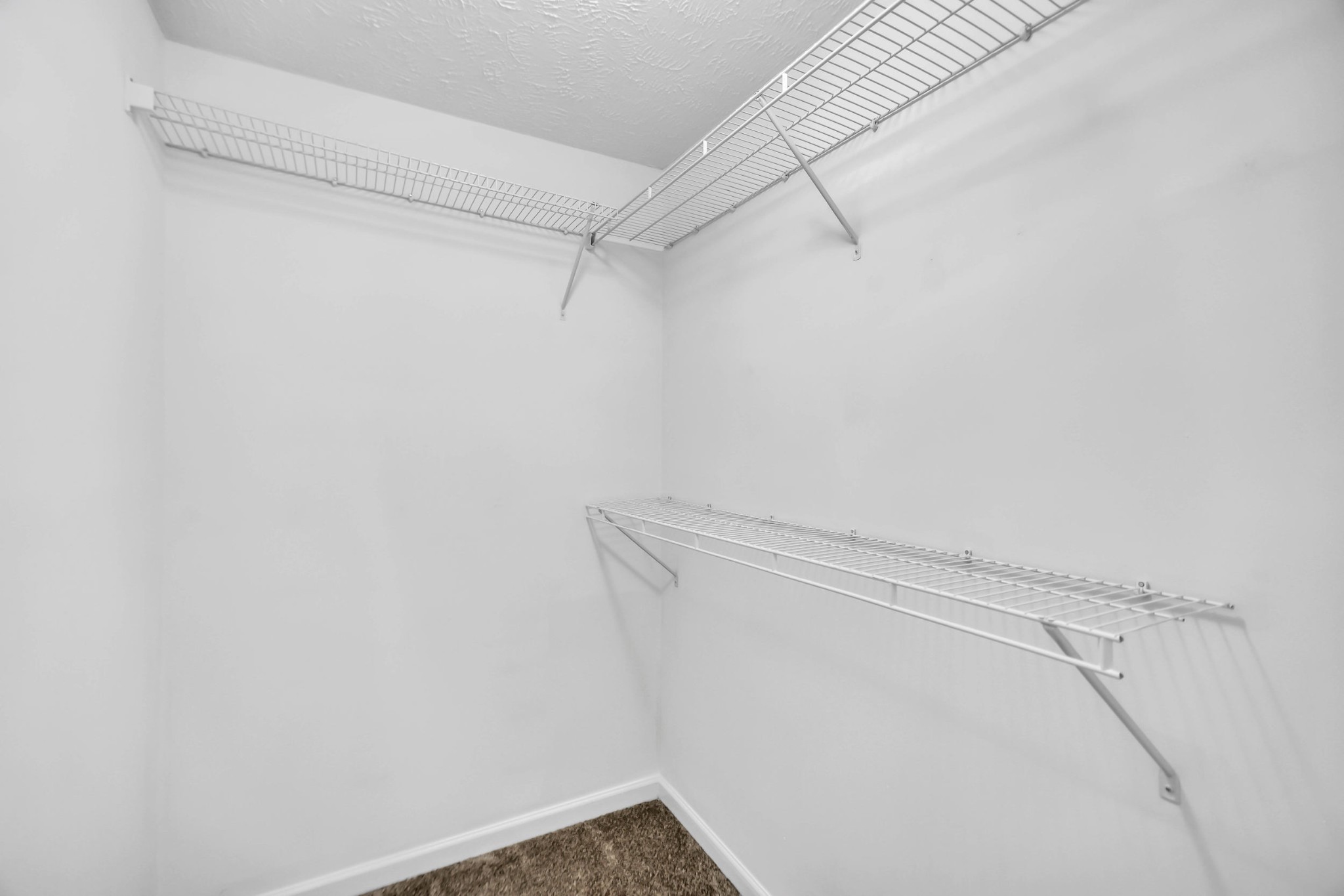 3404 Whitebud Lane Murfreesboro TN 37128