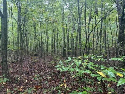 14 Saw Mill Road Palmer TN 37365