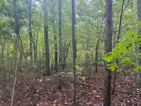 14 Saw Mill Road Palmer TN 37365