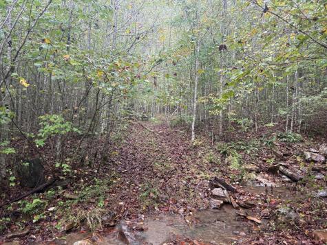 14 Saw Mill Road Palmer TN 37365