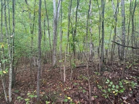 14 Saw Mill Road Palmer TN 37365