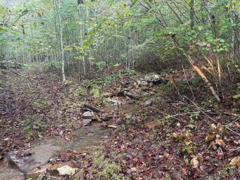 14 Saw Mill Road Palmer TN 37365