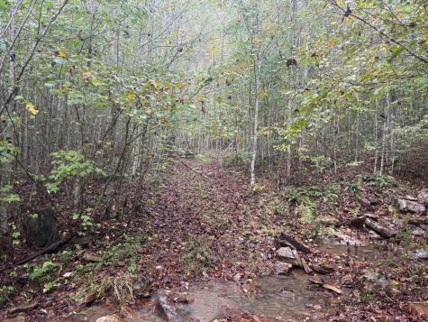 14 Saw Mill Road Palmer TN 37365