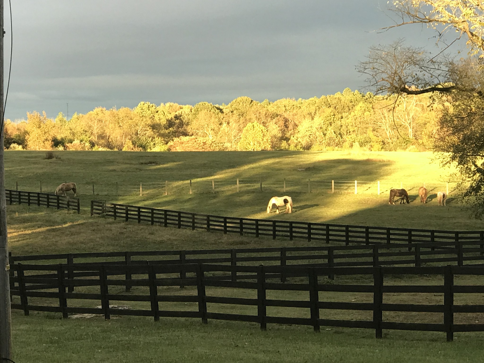 4282 Central Valley Road Murfreesboro TN 37129
