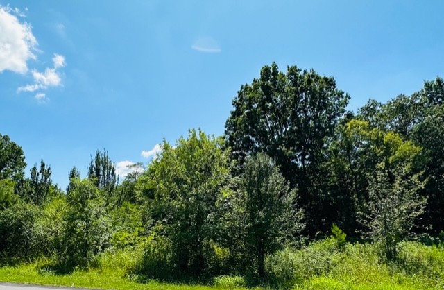 13877 Old Hickory Boulevard Antioch TN 37013