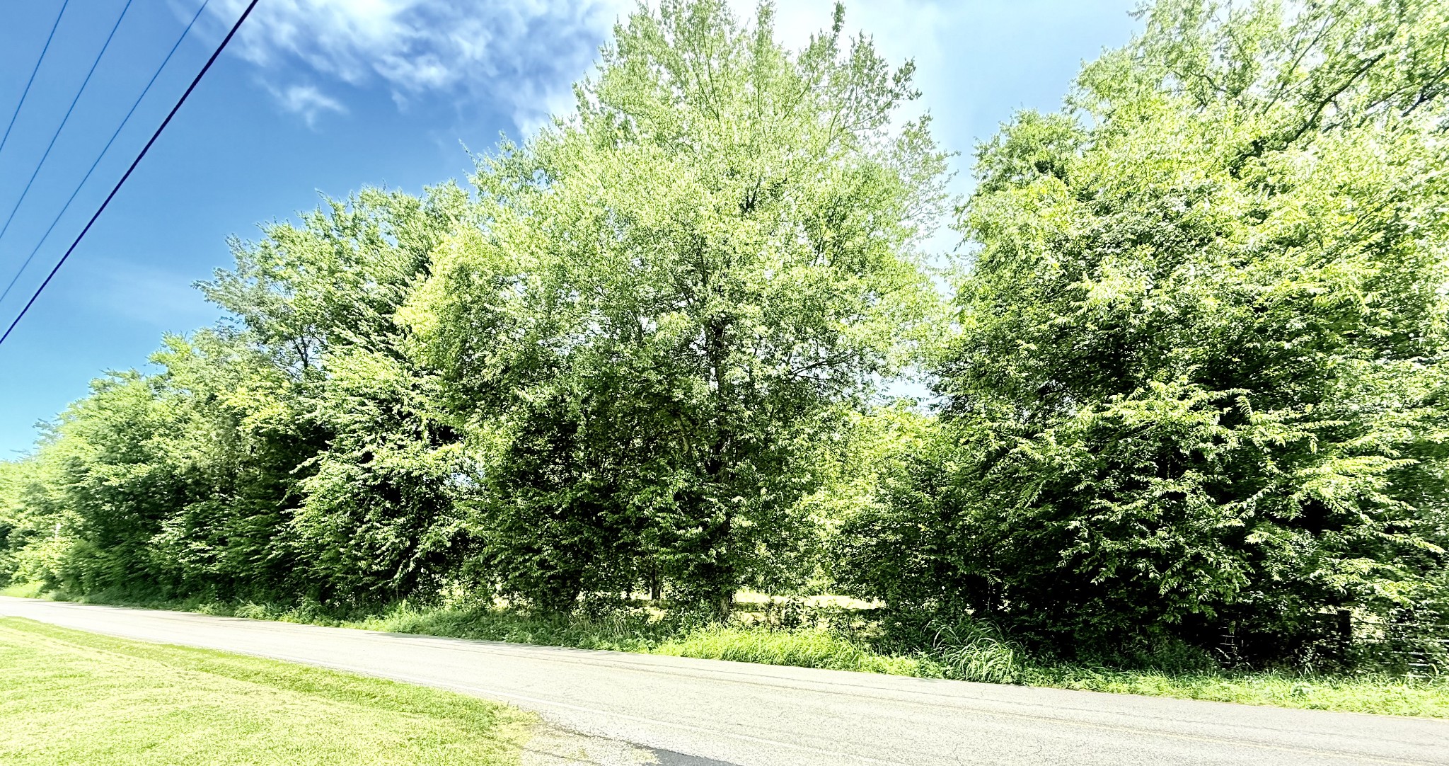 6866 Greenvale Road Watertown TN 37184