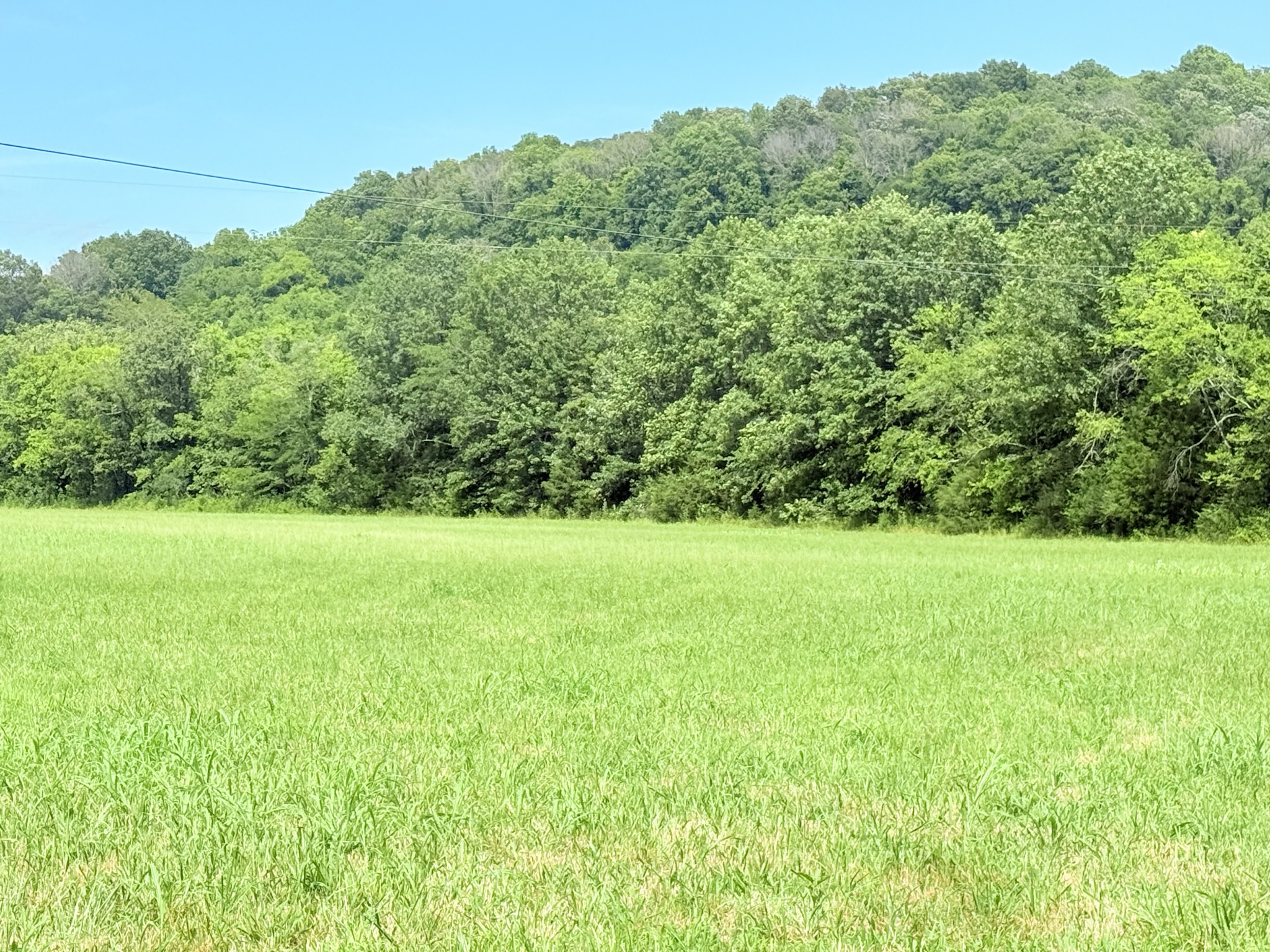 6866 Greenvale Road Watertown TN 37184