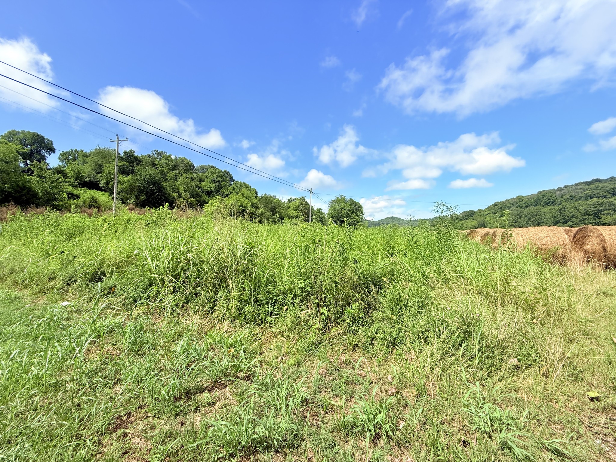 6866 Greenvale Road Watertown TN 37184