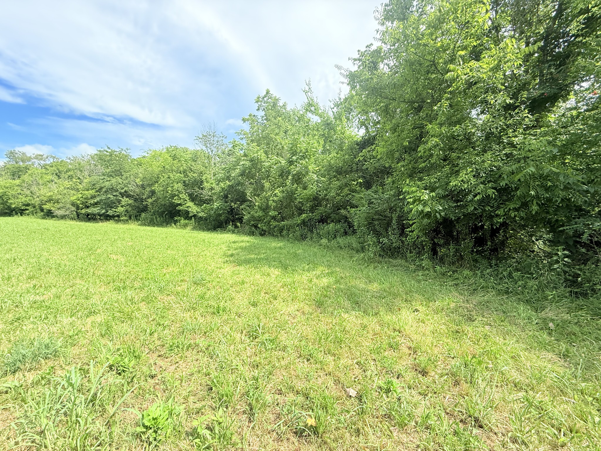 6866 Greenvale Road Watertown TN 37184