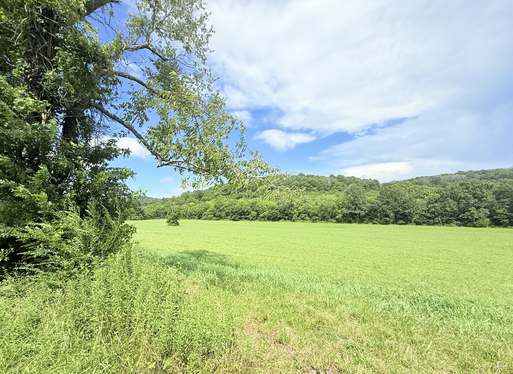6866 Greenvale Road Watertown TN 37184