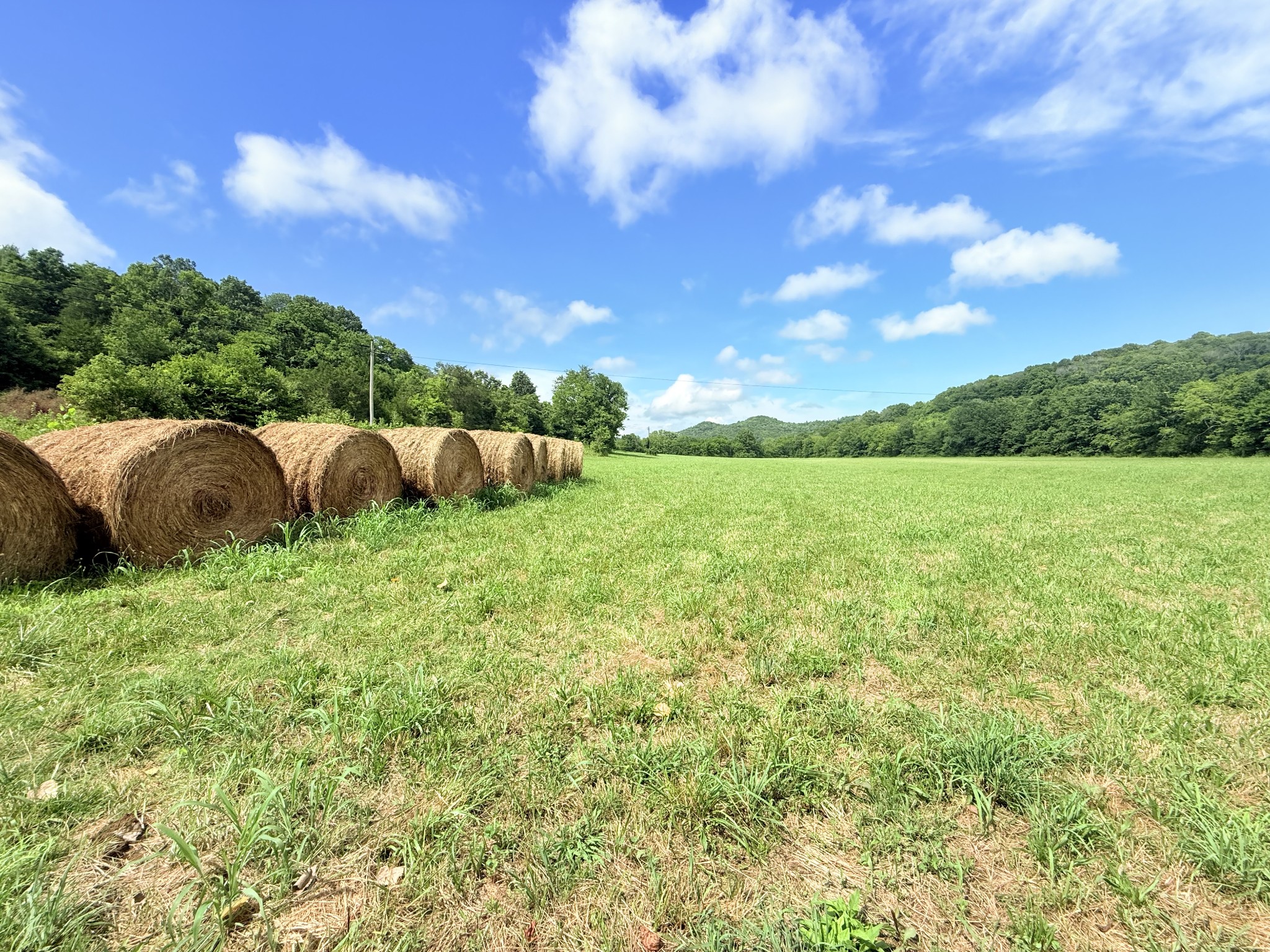 6866 Greenvale Road Watertown TN 37184