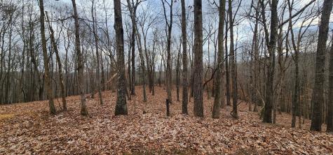 0 Macgregor Place Sparta TN 38583