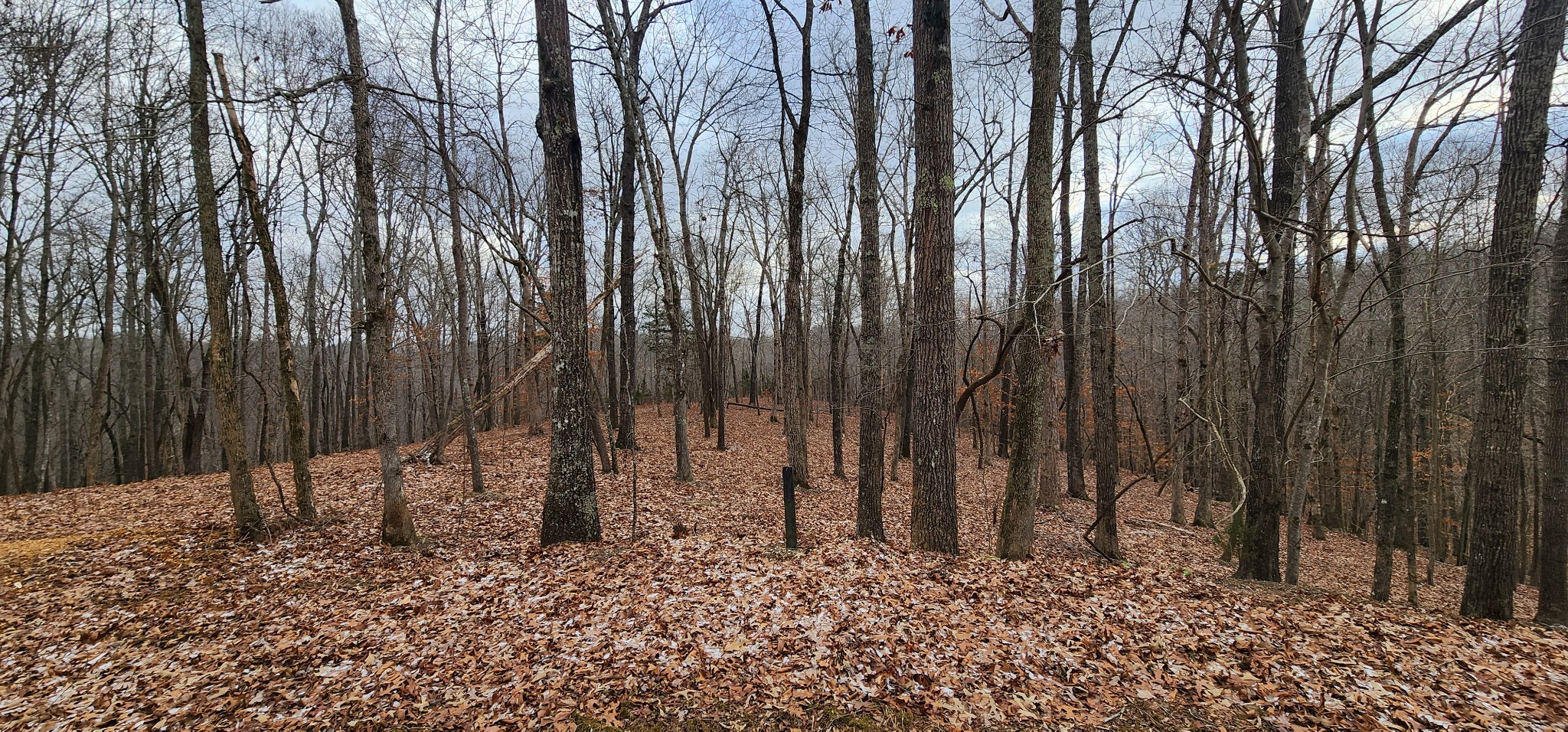 0 Macgregor Place Sparta TN 38583