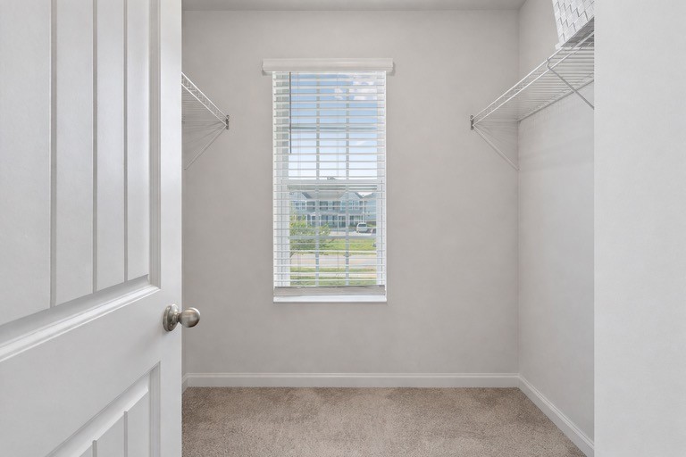 1033 Woodbridge Boulevard Lebanon TN 37090