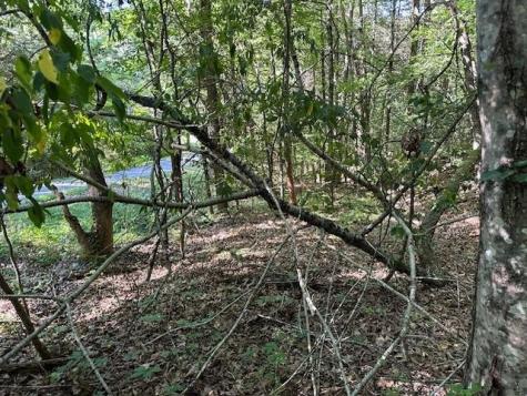 0 Cummins Road Eva TN 38333