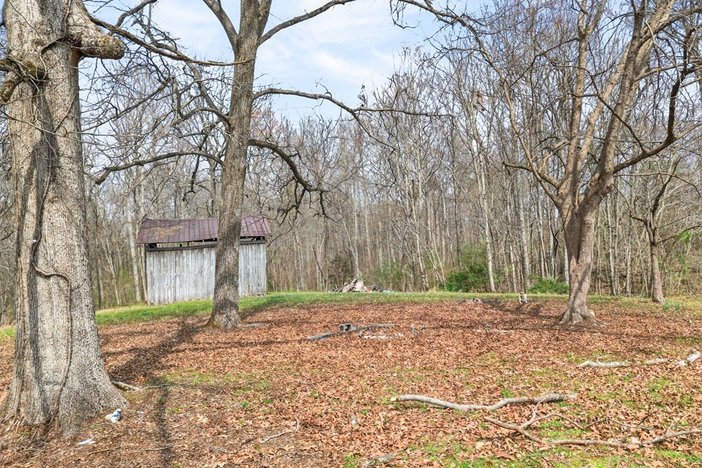 3385 Spring Creek Road Cookeville TN 38501