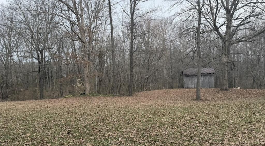 3385 Spring Creek Road Cookeville TN 38501