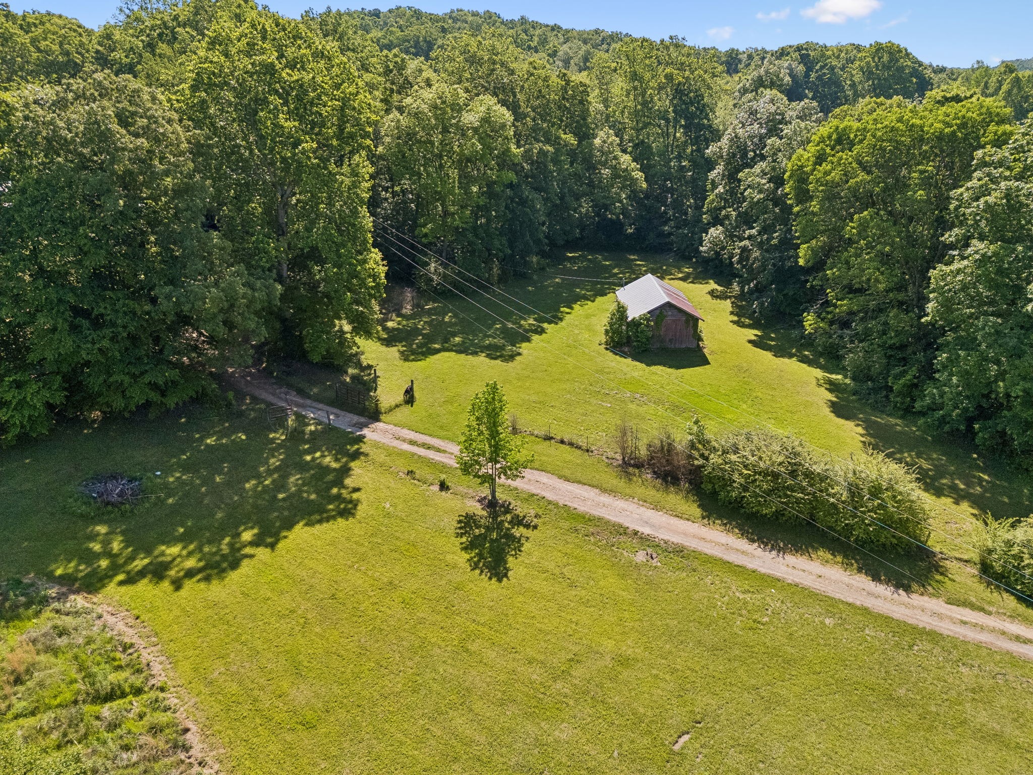 619 Longbranch Road Hohenwald TN 38462