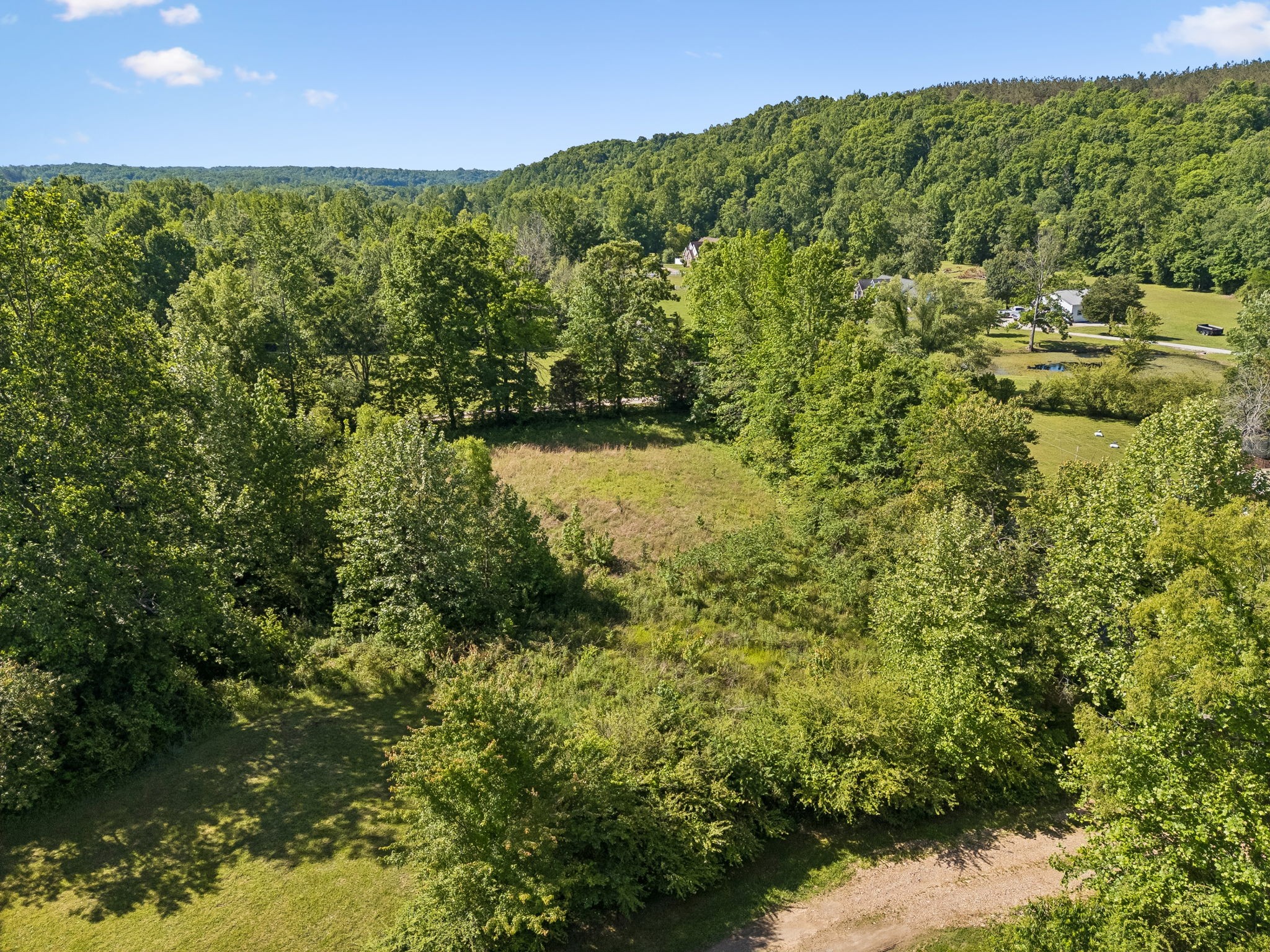 619 Longbranch Road Hohenwald TN 38462
