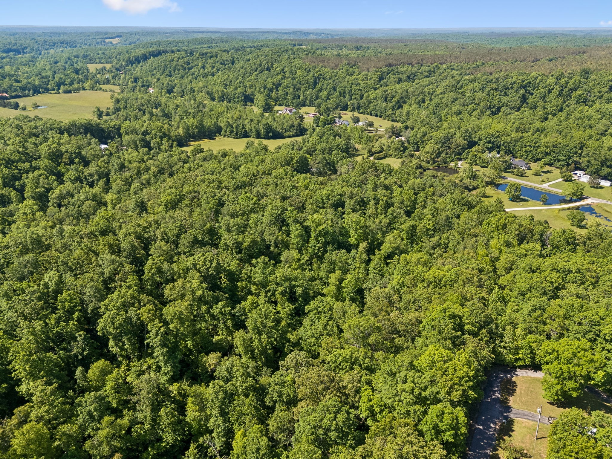 619 Longbranch Road Hohenwald TN 38462