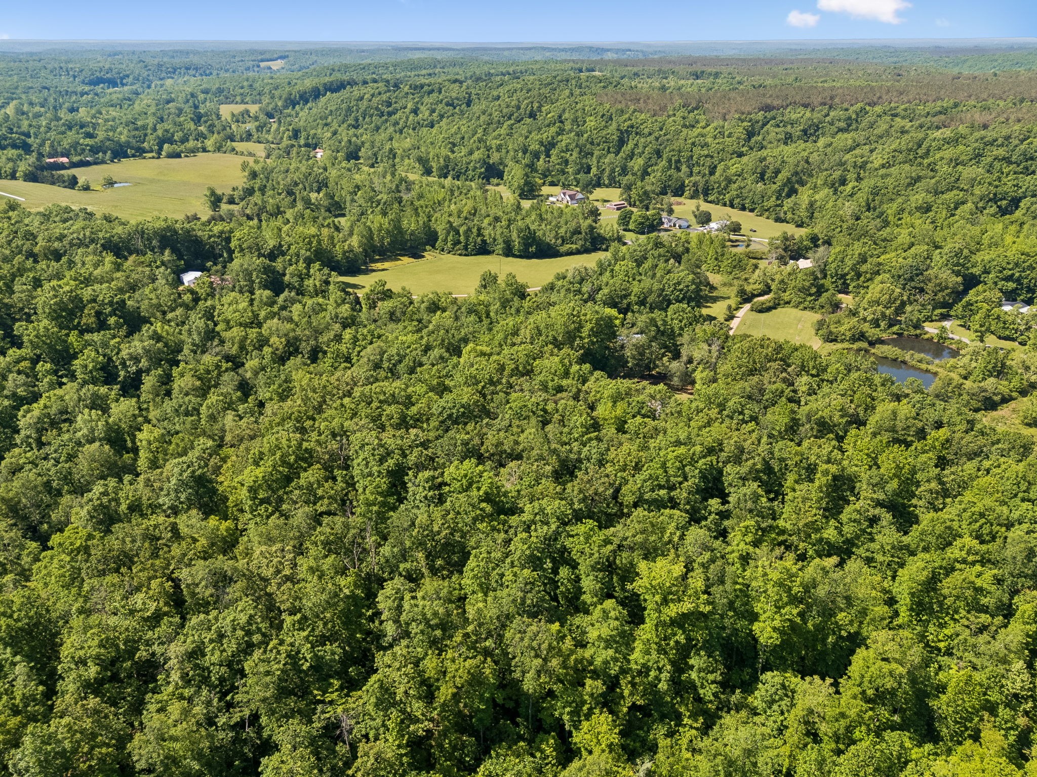 619 Longbranch Road Hohenwald TN 38462