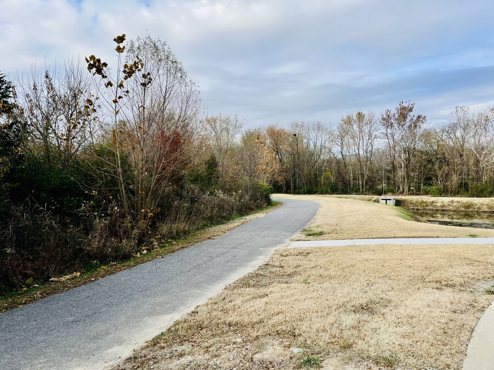 361A Wellows Chase Spring Hill TN 37174