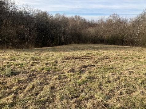 3 Diana Ridge Road Pulaski TN 38478