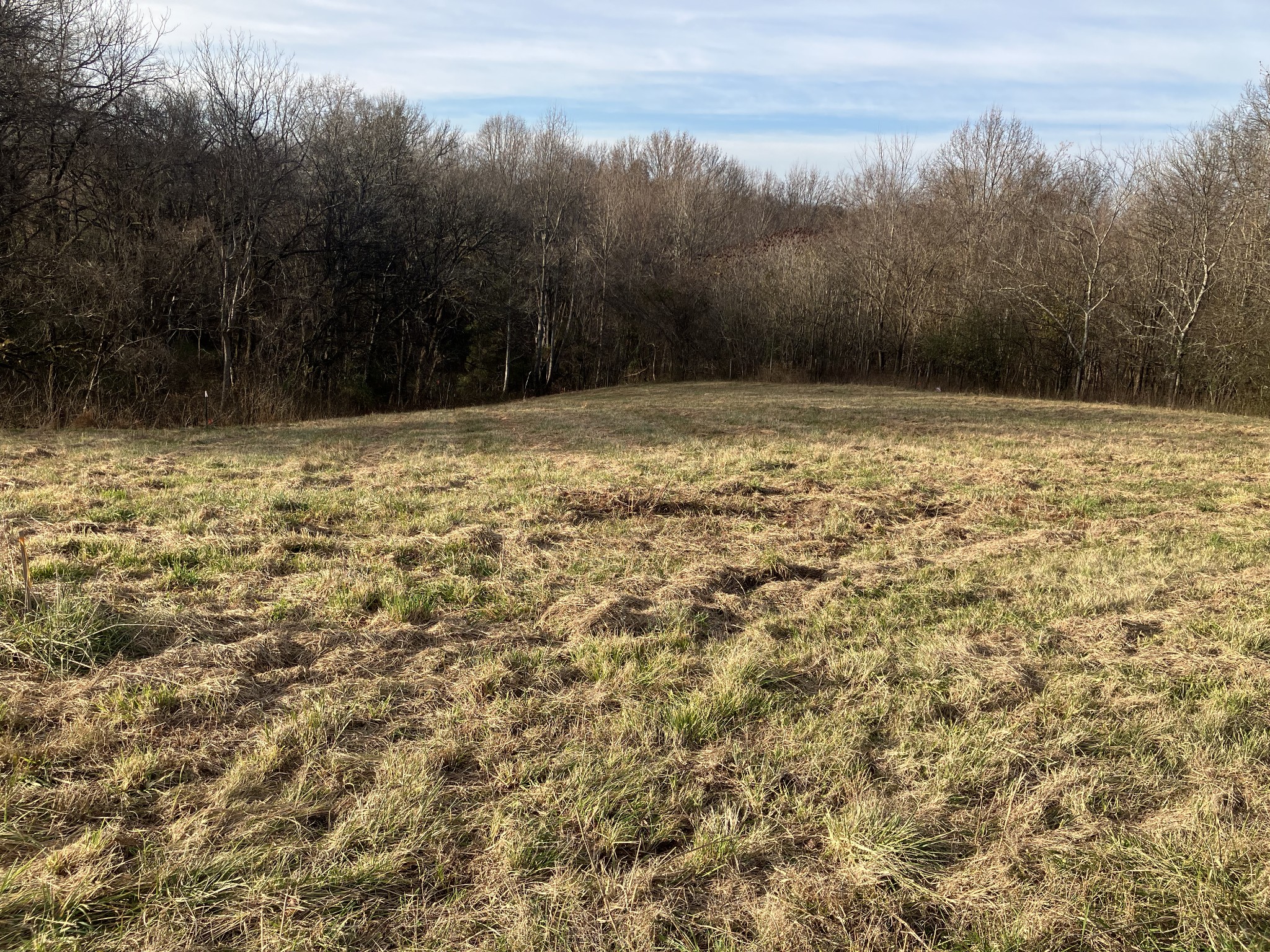 3 Diana Ridge Road Pulaski TN 38478
