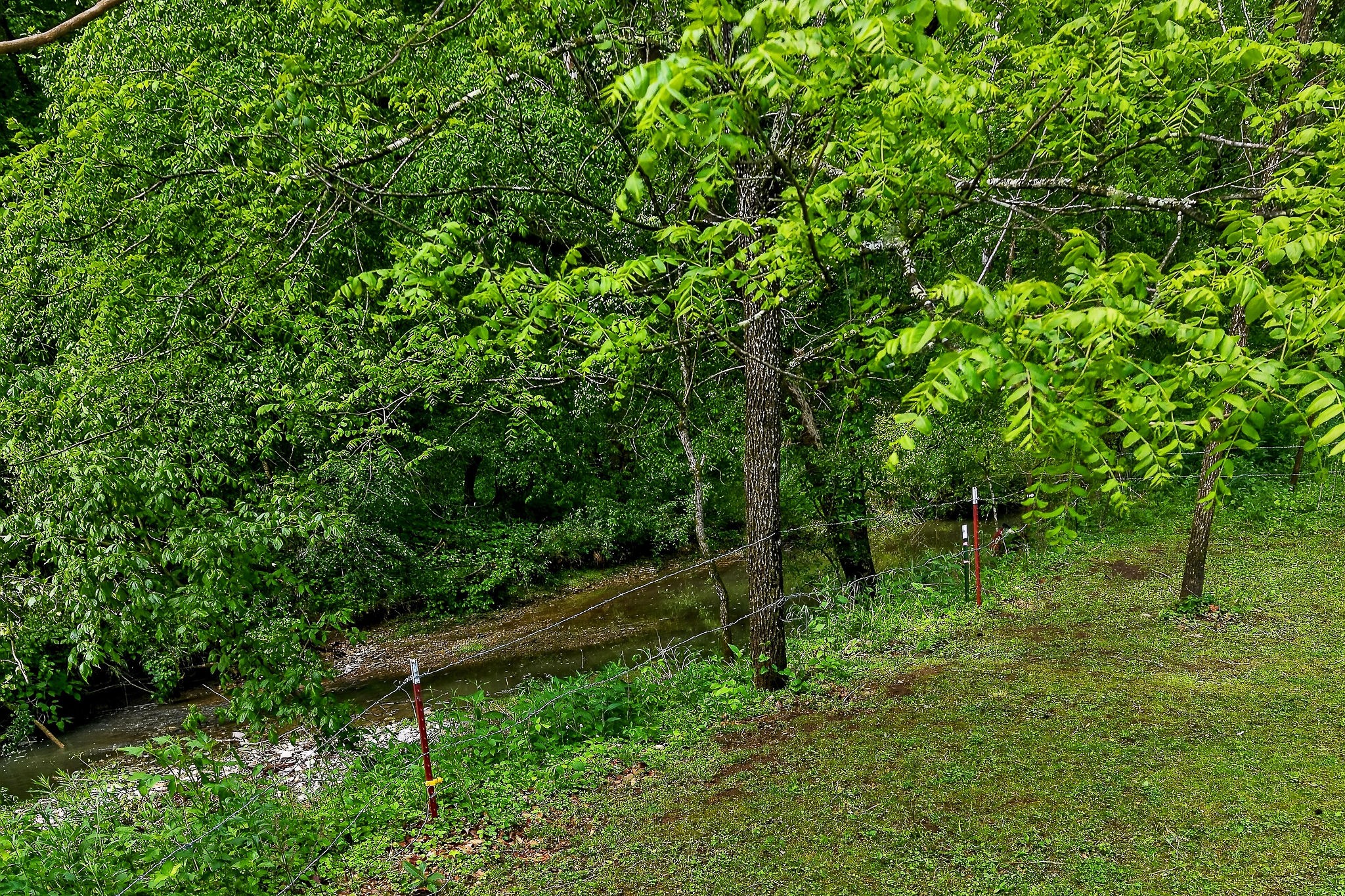 3754 Alexandria To Dismal Road Liberty TN 37095