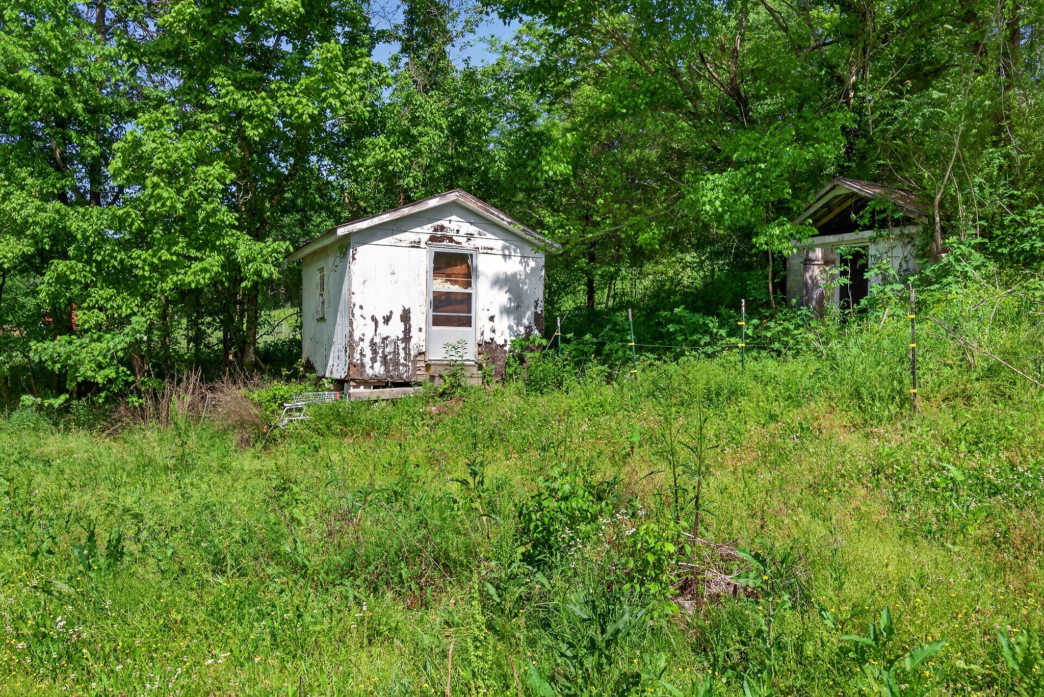 3754 Alexandria To Dismal Road Liberty TN 37095