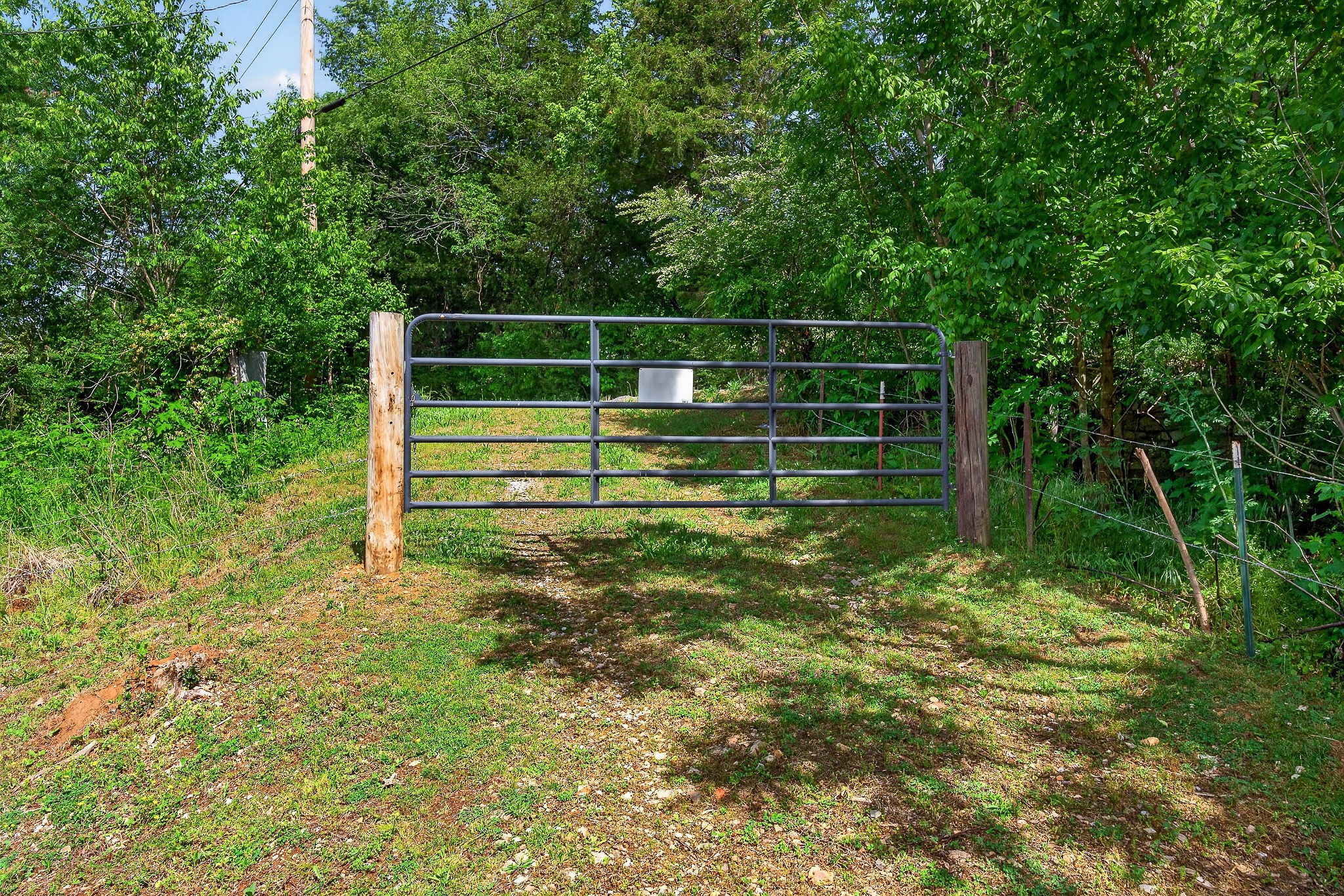 3754 Alexandria To Dismal Road Liberty TN 37095
