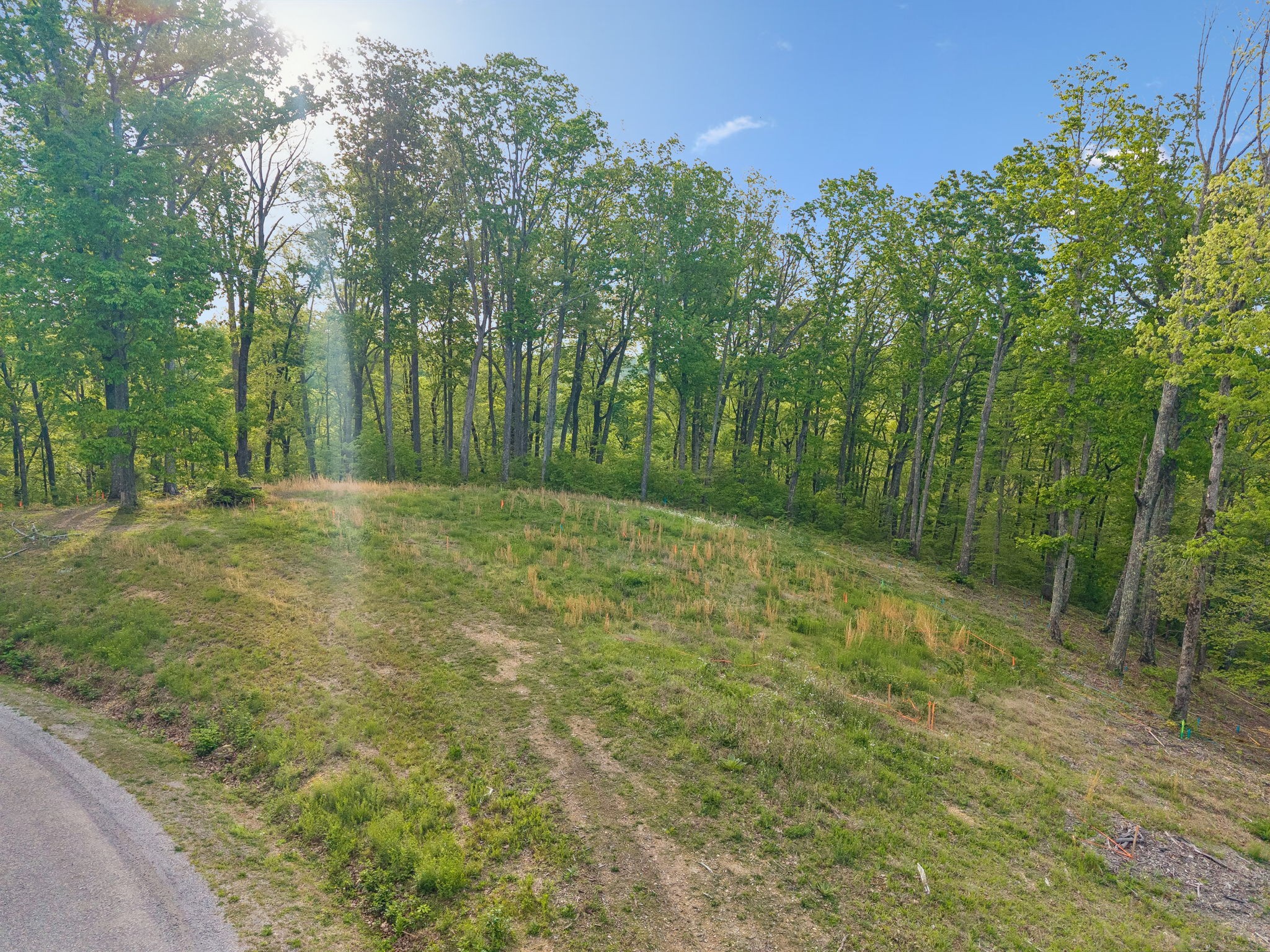 7646 Chipmunk Lane Nashville TN 37221