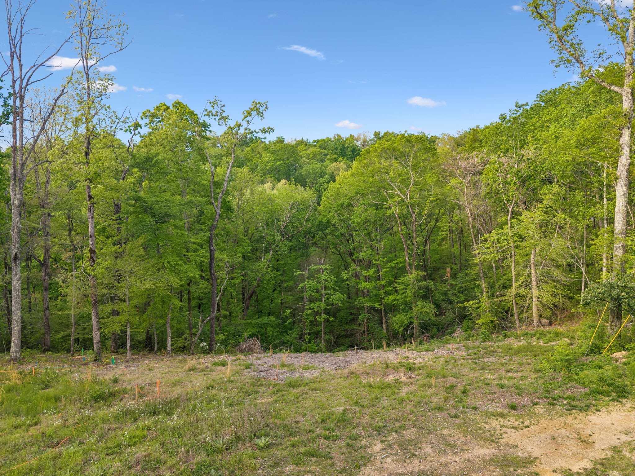 7646 Chipmunk Lane Nashville TN 37221