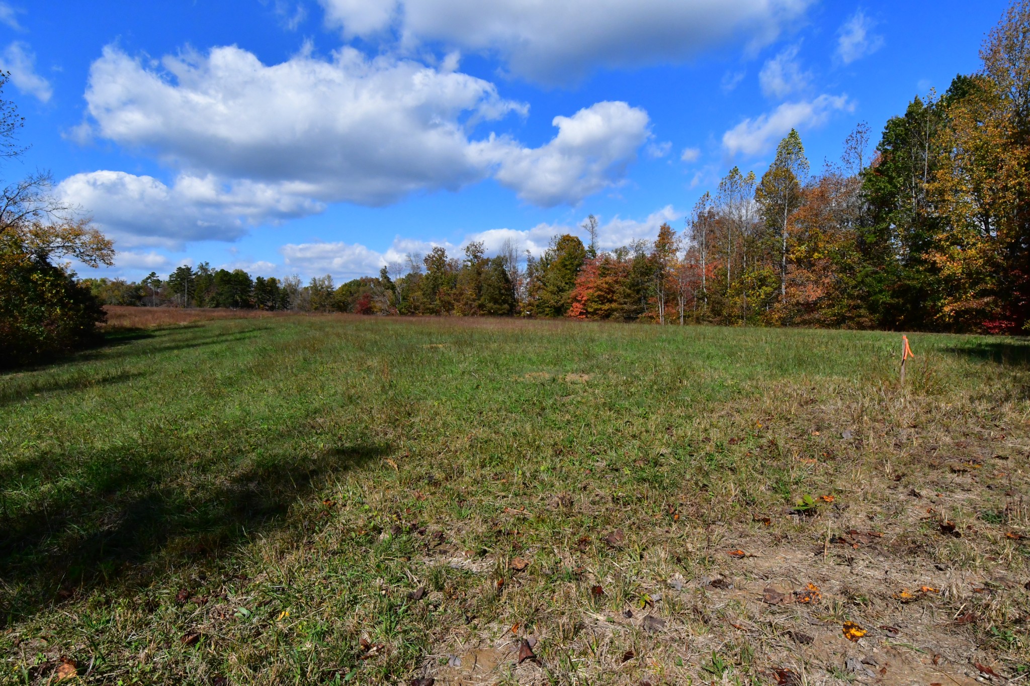 0 Cookeville Highway Smithville TN 37166